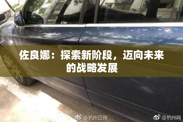 佐良娜：探索新阶段，迈向未来的战略发展