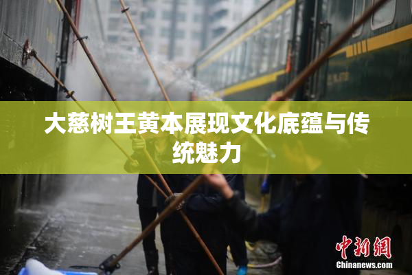大慈树王黄本展现文化底蕴与传统魅力