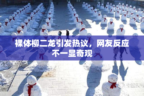 裸体柳二龙引发热议，网友反应不一显奇观