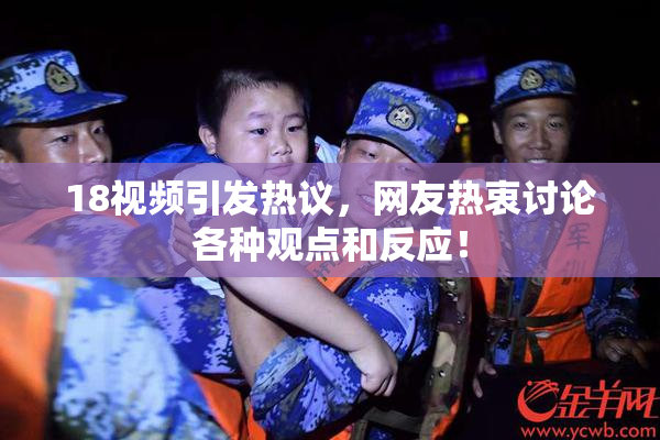 18视频引发热议，网友热衷讨论各种观点和反应！