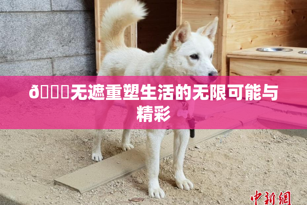 🔞无遮重塑生活的无限可能与精彩