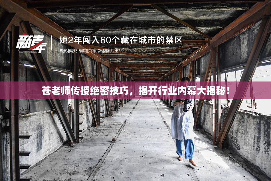 苍老师传授绝密技巧，揭开行业内幕大揭秘！