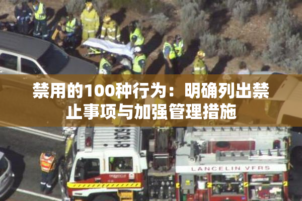 禁用的100种行为：明确列出禁止事项与加强管理措施