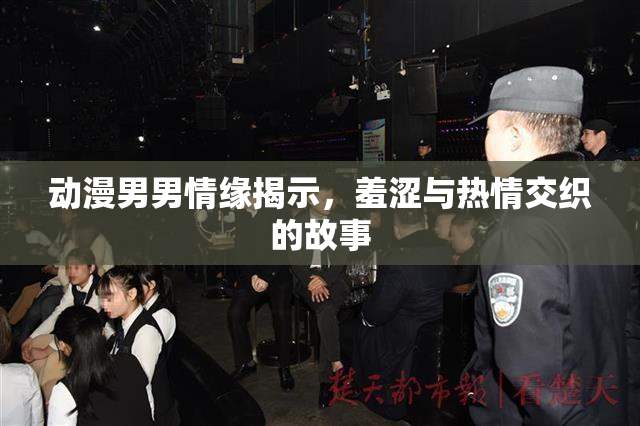 动漫男男情缘揭示，羞涩与热情交织的故事