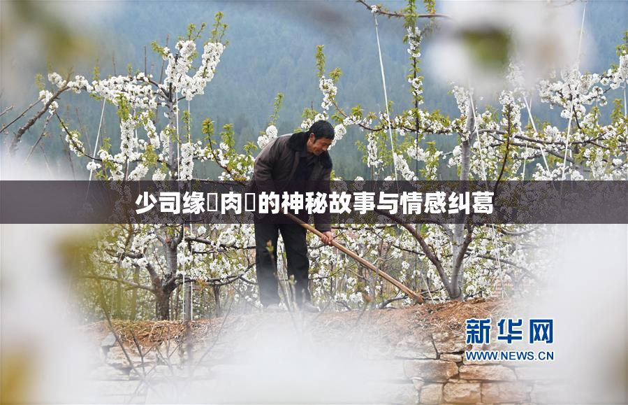 少司缘婬肉泬的神秘故事与情感纠葛