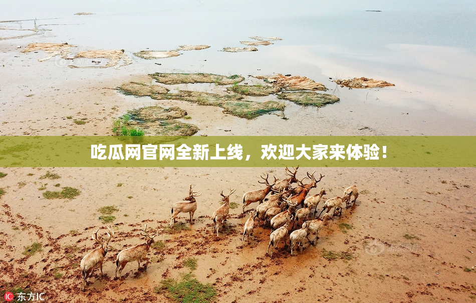 吃瓜网官网全新上线，欢迎大家来体验！