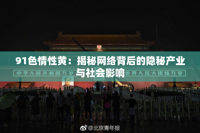 91色情性黄：揭秘网络背后的隐秘产业与社会影响