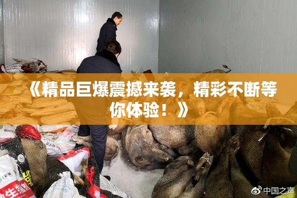 《精品巨爆震撼来袭，精彩不断等你体验！》