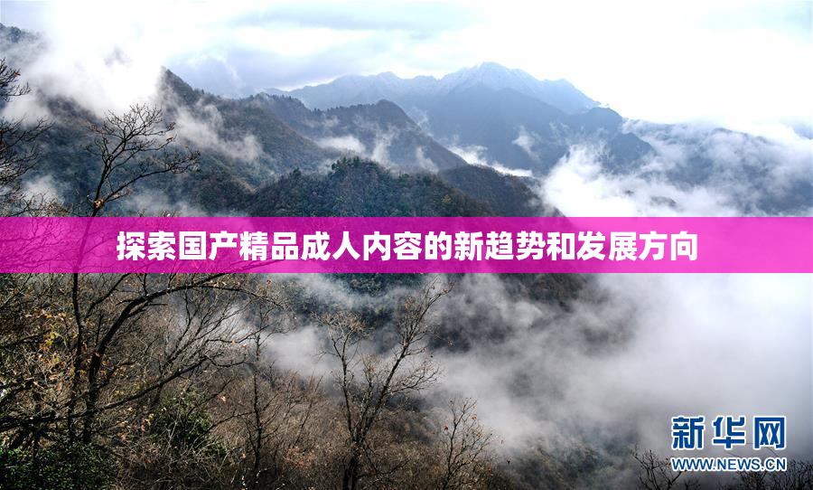 探索国产精品成人内容的新趋势和发展方向