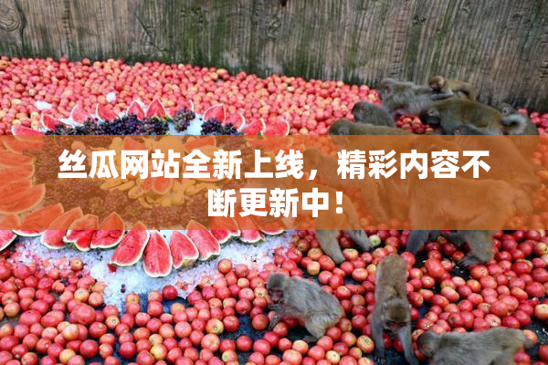 丝瓜网站全新上线，精彩内容不断更新中！