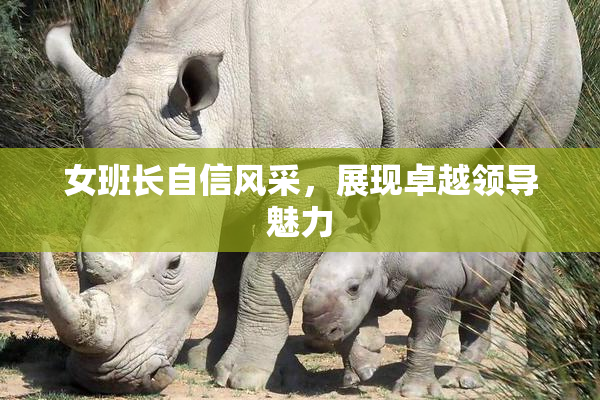 女班长自信风采，展现卓越领导魅力