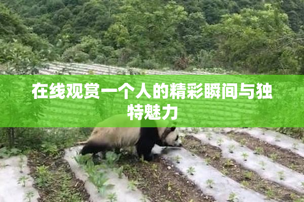 在线观赏一个人的精彩瞬间与独特魅力