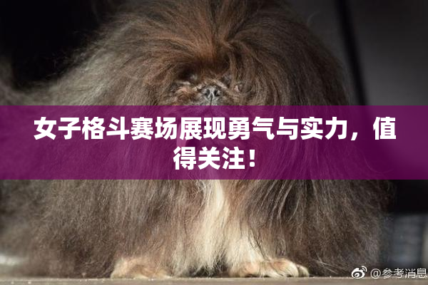 女子格斗赛场展现勇气与实力，值得关注！
