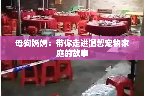 母狗妈妈：带你走进温馨宠物家庭的故事