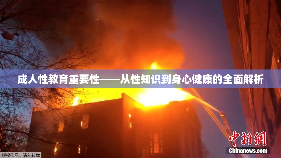 成人性教育重要性——从性知识到身心健康的全面解析