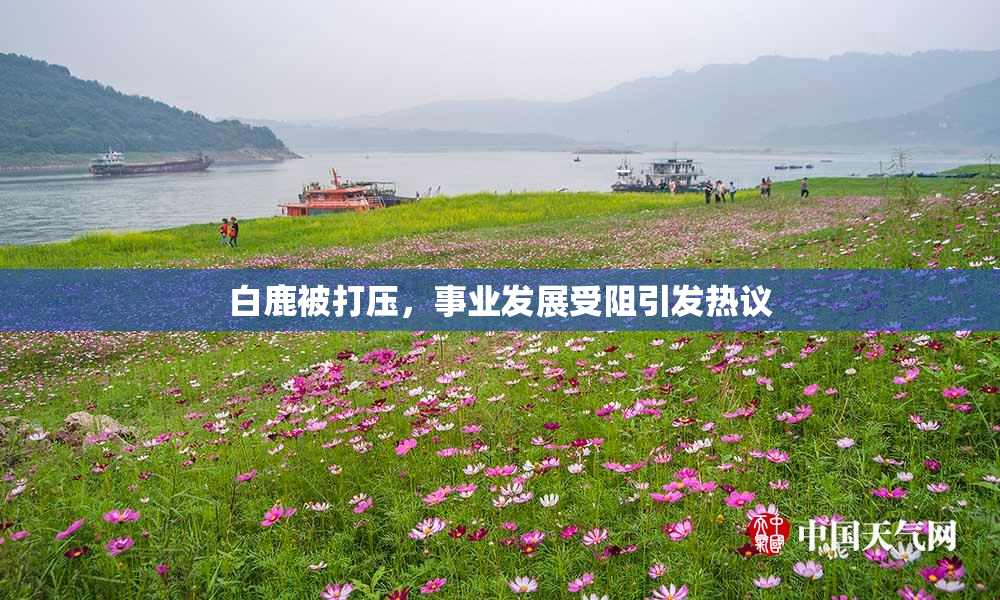 白鹿被打压，事业发展受阻引发热议