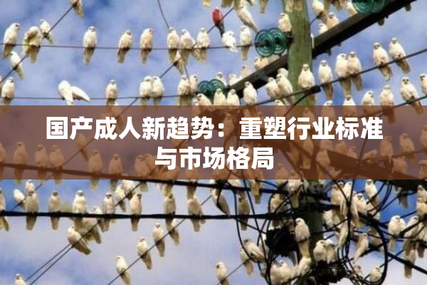 国产成人新趋势：重塑行业标准与市场格局