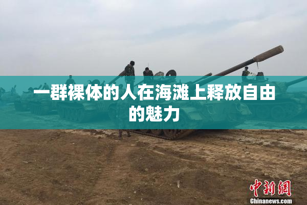 一群裸体的人在海滩上释放自由的魅力