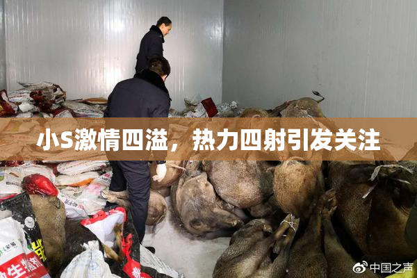 小S激情四溢，热力四射引发关注
