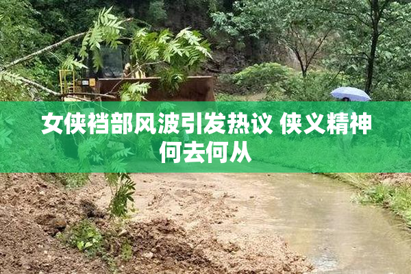 女侠裆部风波引发热议 侠义精神何去何从