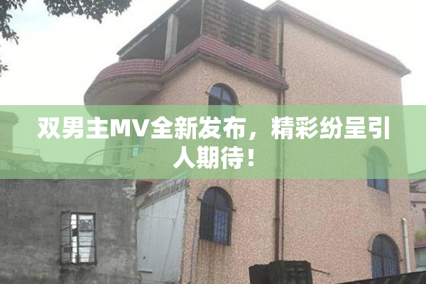 双男主MV全新发布，精彩纷呈引人期待！