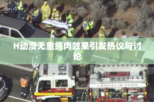 H动漫无重纯肉效果引发热议与讨论