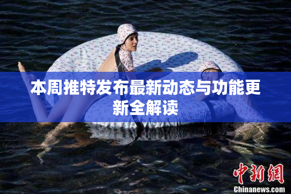 本周推特发布最新动态与功能更新全解读