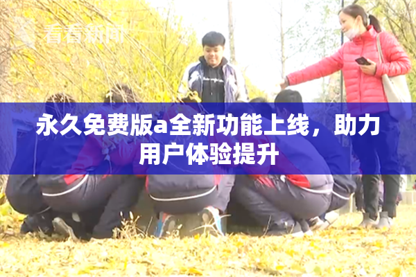 永久免费版a全新功能上线，助力用户体验提升