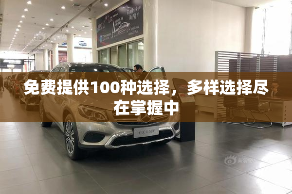 免费提供100种选择，多样选择尽在掌握中