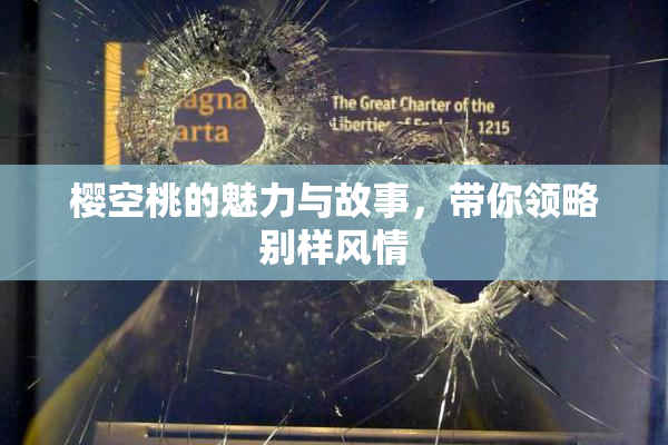 樱空桃的魅力与故事，带你领略别样风情