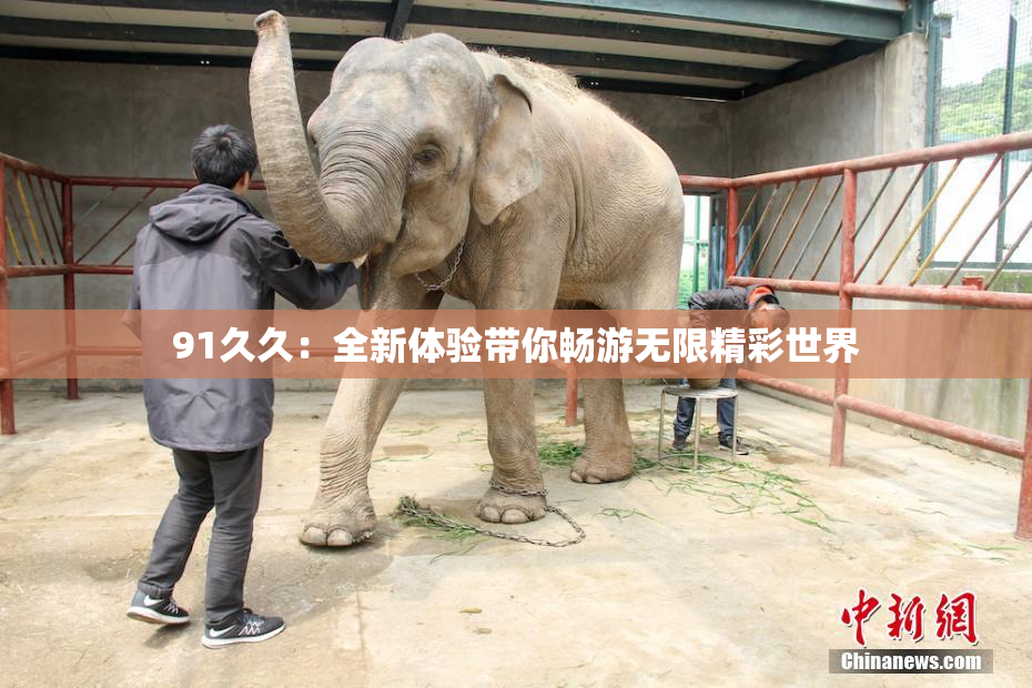 91久久：全新体验带你畅游无限精彩世界
