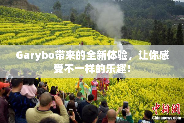 Garybo带来的全新体验，让你感受不一样的乐趣！