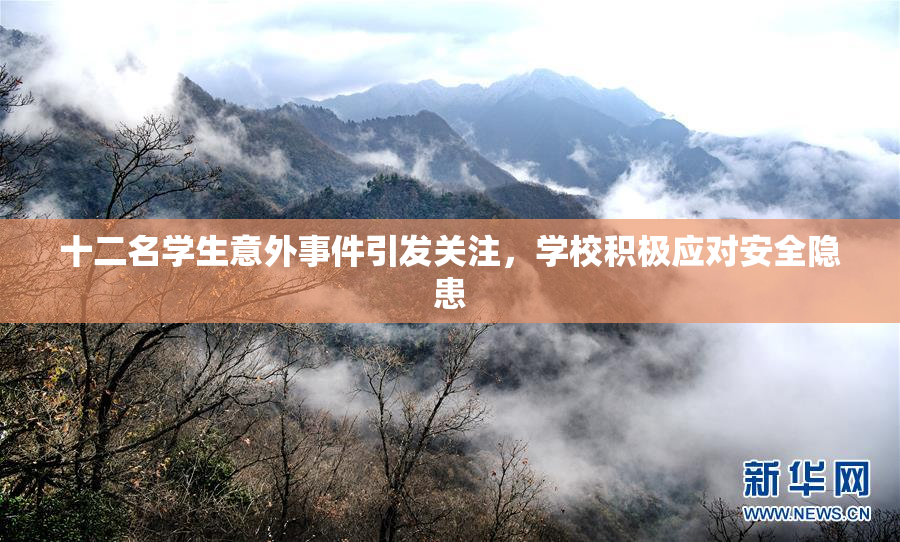 十二名学生意外事件引发关注，学校积极应对安全隐患