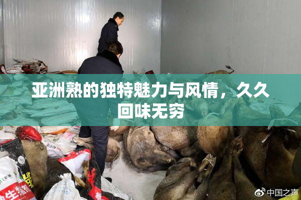 亚洲熟的独特魅力与风情，久久回味无穷