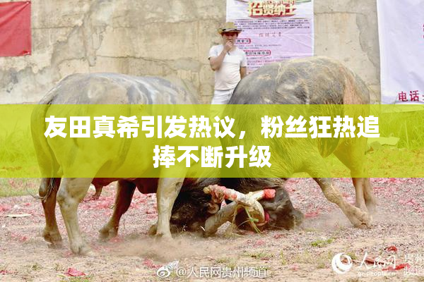 友田真希引发热议，粉丝狂热追捧不断升级