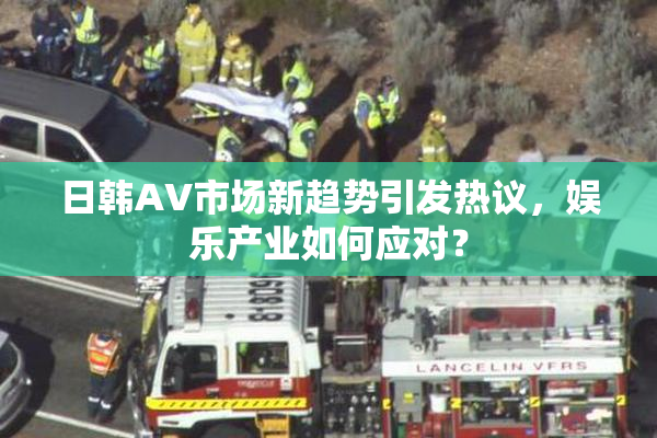 日韩AV市场新趋势引发热议，娱乐产业如何应对？