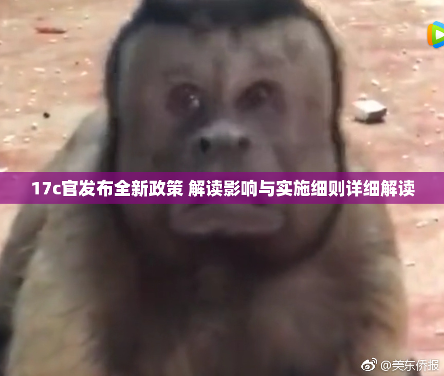 17c官发布全新政策 解读影响与实施细则详细解读