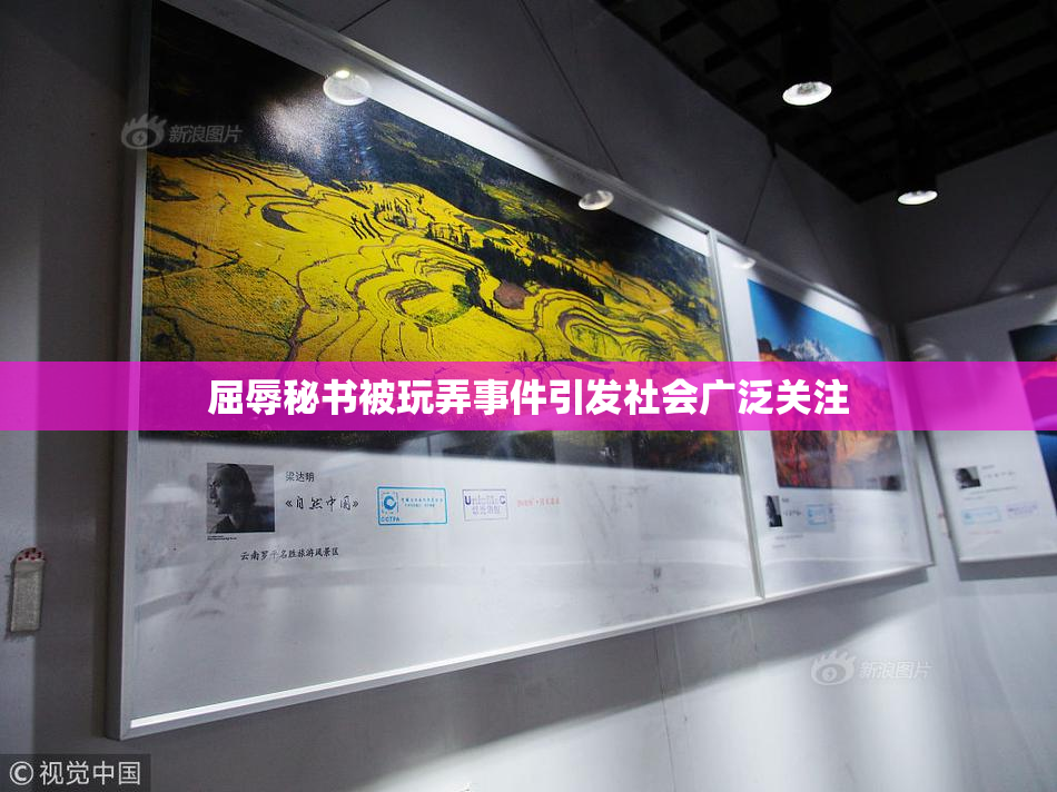 屈辱秘书被玩弄事件引发社会广泛关注