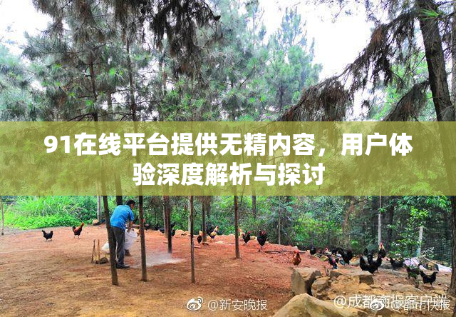 91在线平台提供无精内容，用户体验深度解析与探讨