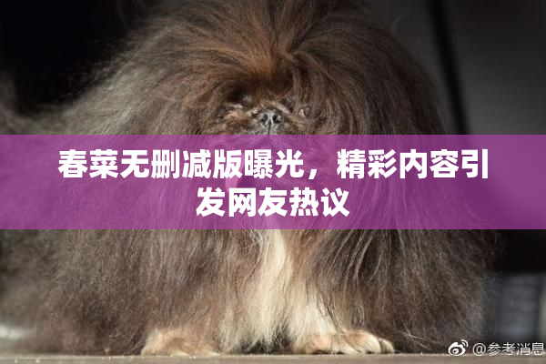 春菜无删减版曝光，精彩内容引发网友热议