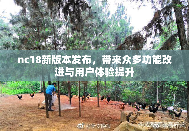 nc18新版本发布，带来众多功能改进与用户体验提升
