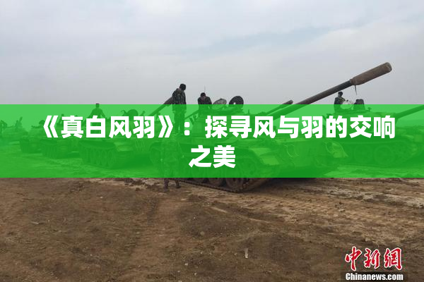 《真白风羽》：探寻风与羽的交响之美