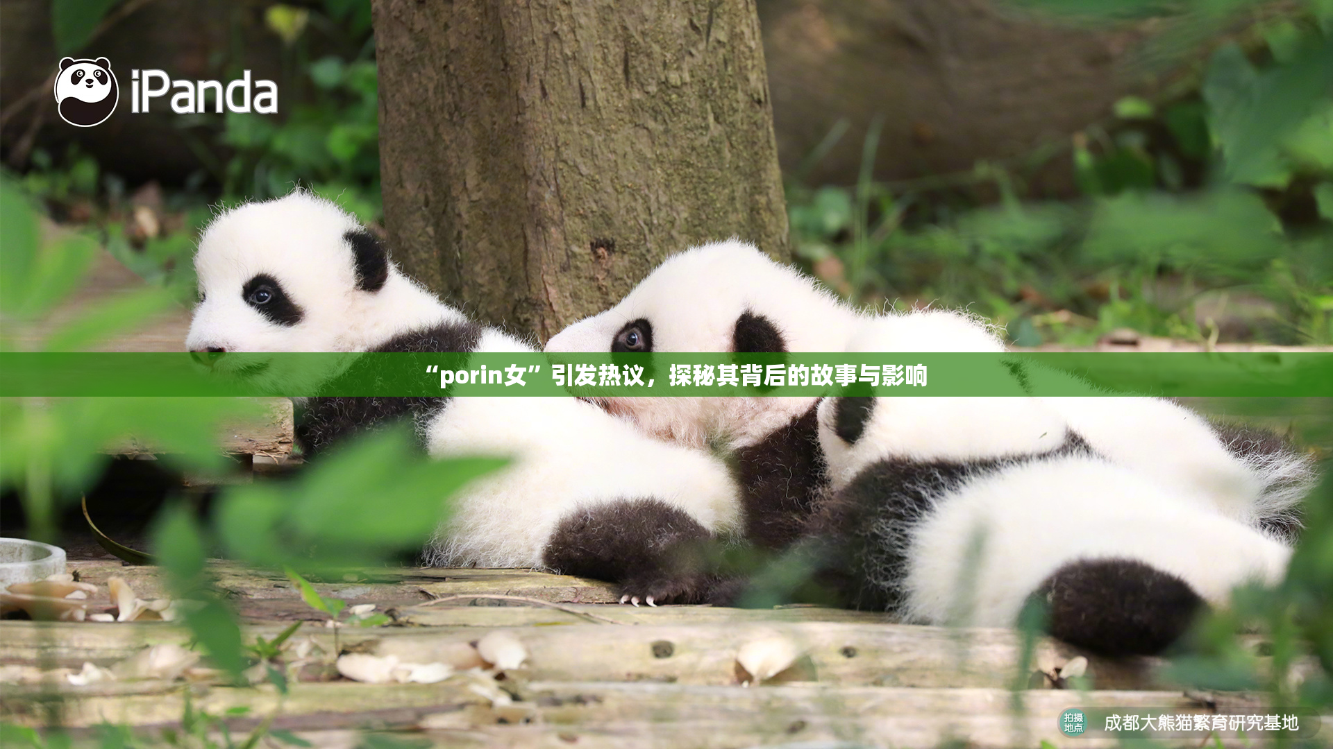 “porin女”引发热议，探秘其背后的故事与影响