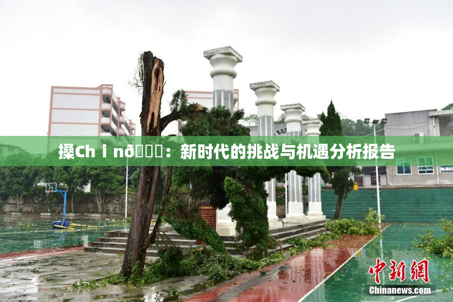 搡Chⅰn🈚：新时代的挑战与机遇分析报告
