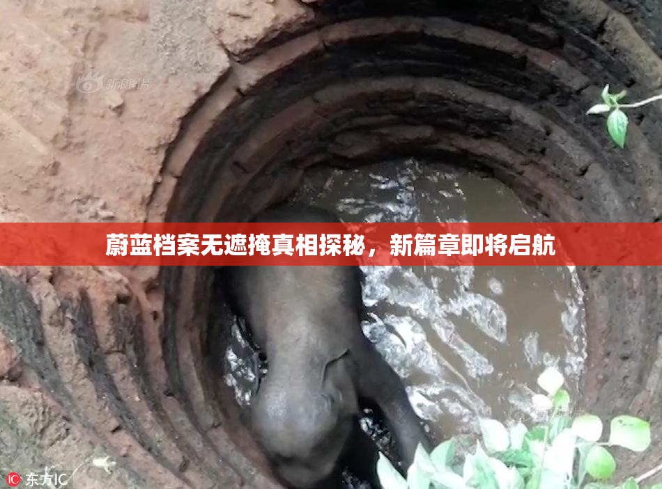 蔚蓝档案无遮掩真相探秘，新篇章即将启航