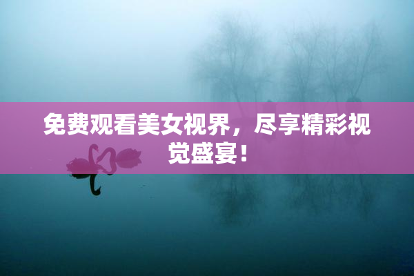 免费观看美女视界，尽享精彩视觉盛宴！