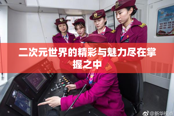 二次元世界的精彩与魅力尽在掌握之中