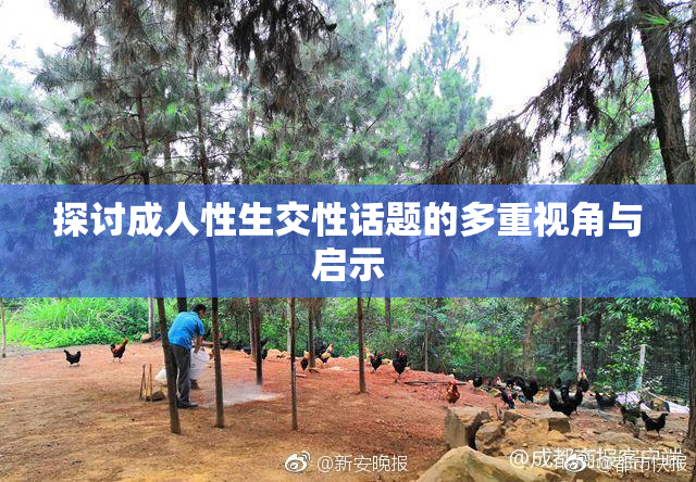 探讨成人性生交性话题的多重视角与启示