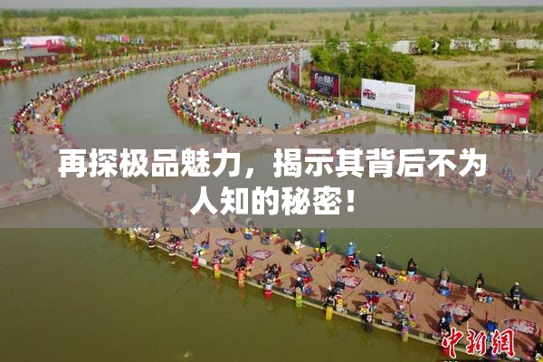 再探极品魅力，揭示其背后不为人知的秘密！