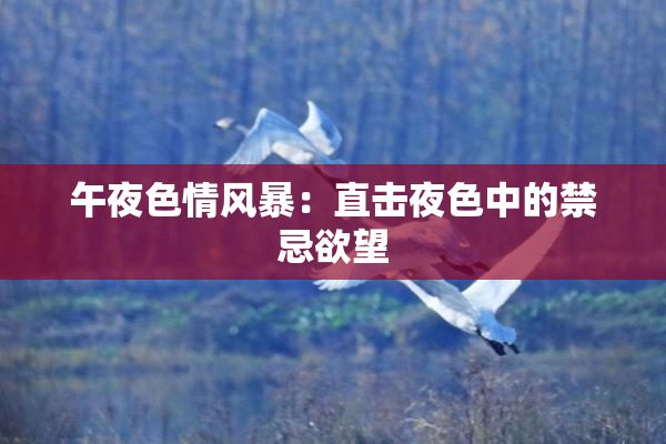 午夜色情风暴：直击夜色中的禁忌欲望